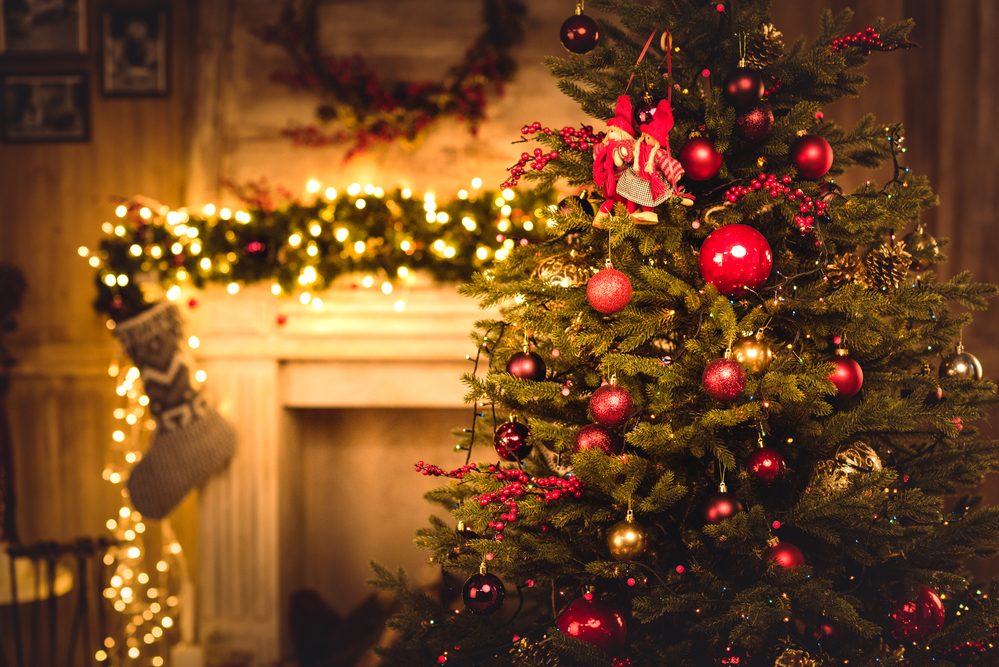 Alle Jahre wieder: Wir suchen den schönsten Weihnachtsbaum
