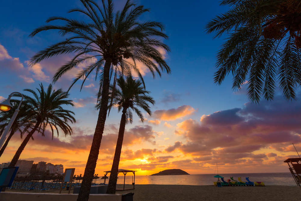 Party, Ausflug oder Strand: Was war Dein bester Urlaubsmoment auf Mallorca?