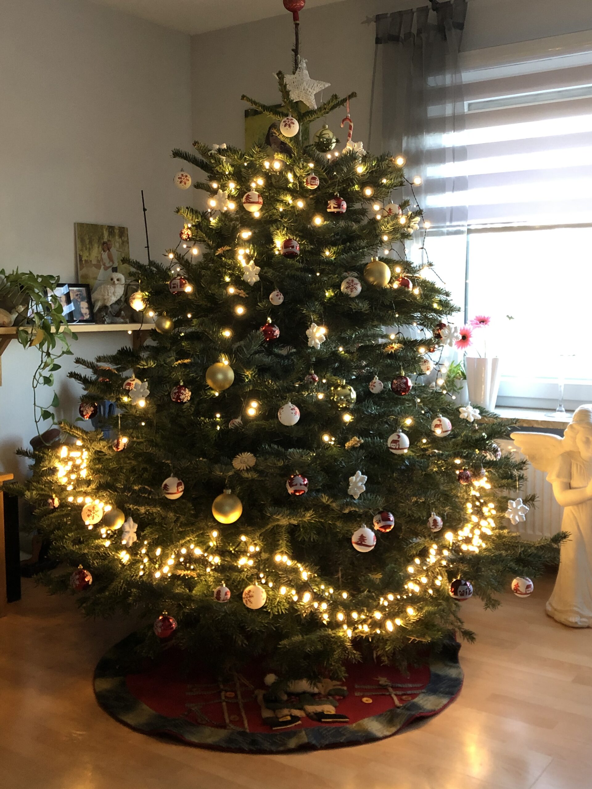 Ballermann Radio sucht schönsten Weihnachtsbaum