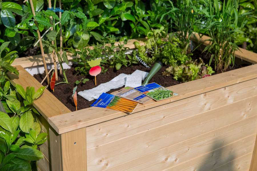 Ratgeber Umwelt: Holz statt Plastik