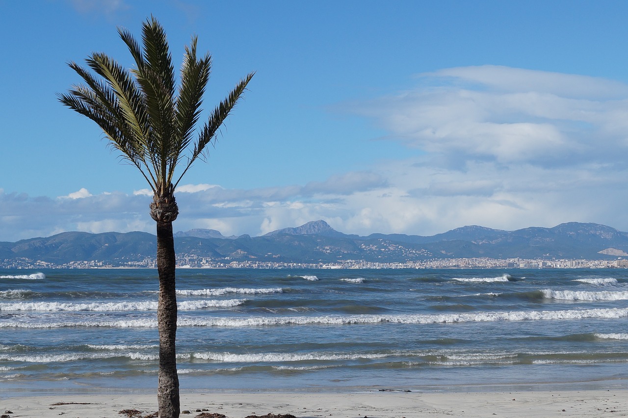 Geheimtipp Mallorcatrip: Warum sich eine Reise im Winter an den Ballermann lohnt