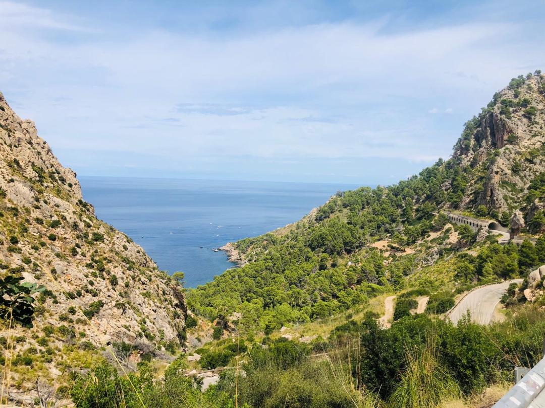 Sehenswert! Naturidyllen auf Mallorca, die faszinieren