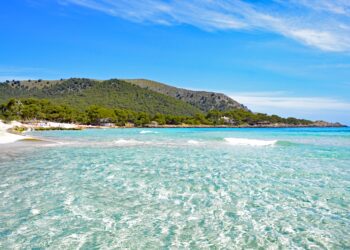 Traumhaft schön: Diese Sandstrände auf Mallorca gibt es wirklich