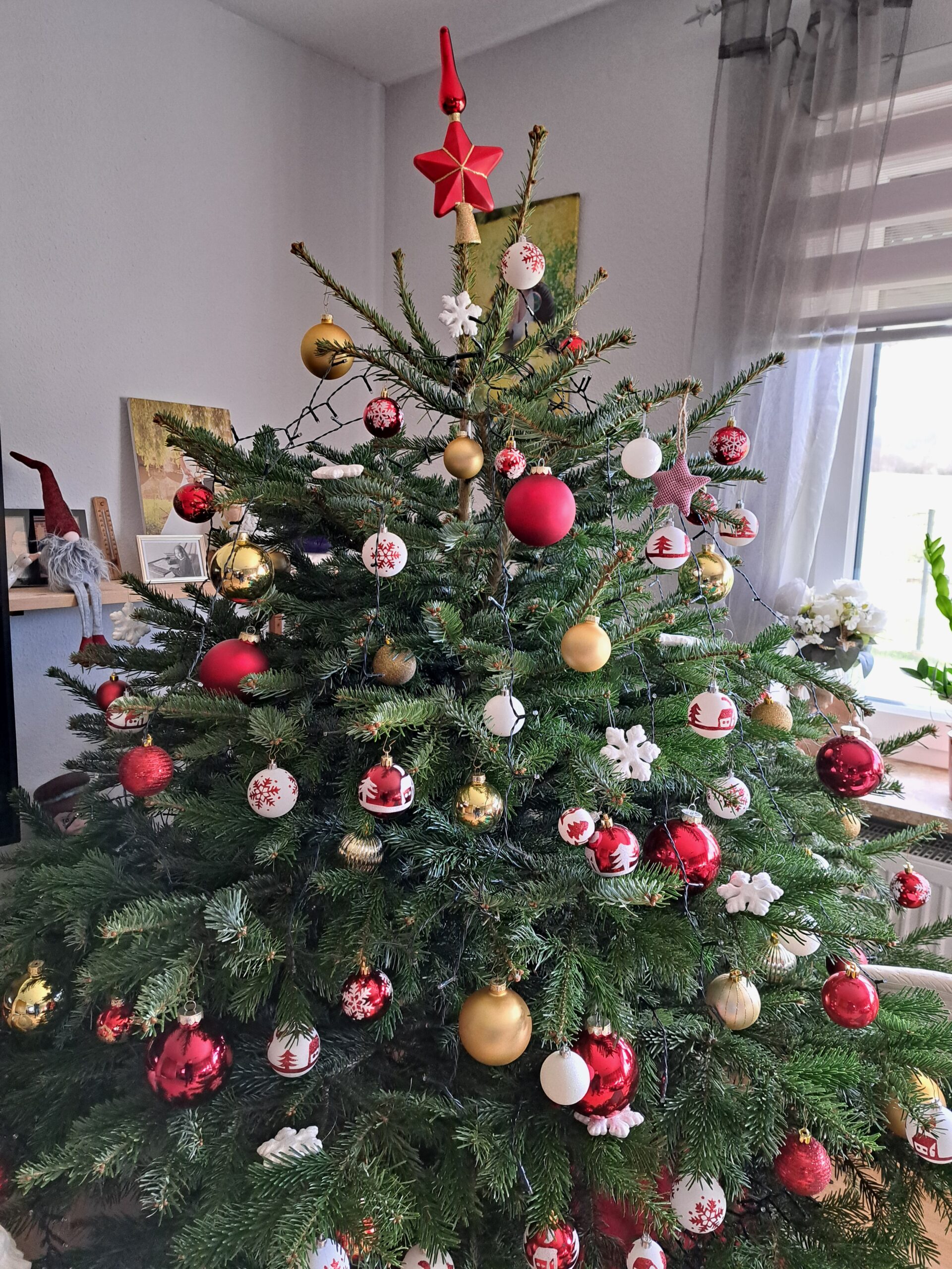 Macht mit! Wer hat den schönsten Weihnachtsbaum 2024?