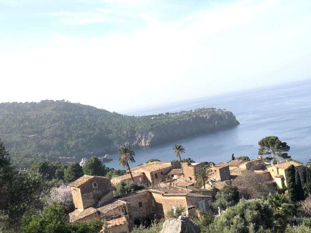 Mallorca: Perfektes Reiseziel für Naturliebhaber