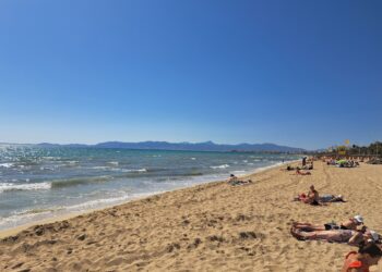 Mallorca ist nur Party? So kannst Du die Insel neu erleben
