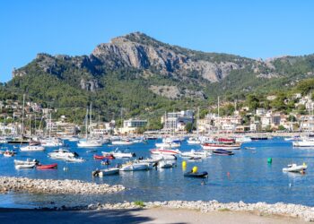 Gewusst? Fakten, die kaum ein Mallorca-Fan über die Insel weiß