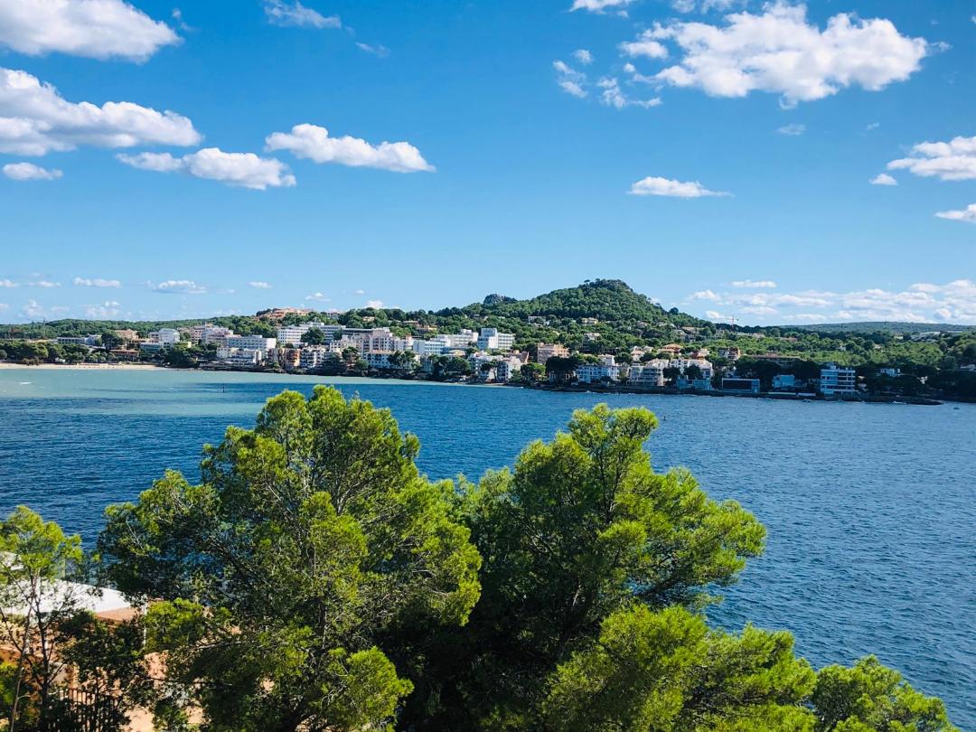 Kostenlose Heißluftballon-Fahrt: So könnt Ihr Mallorca von oben genießen