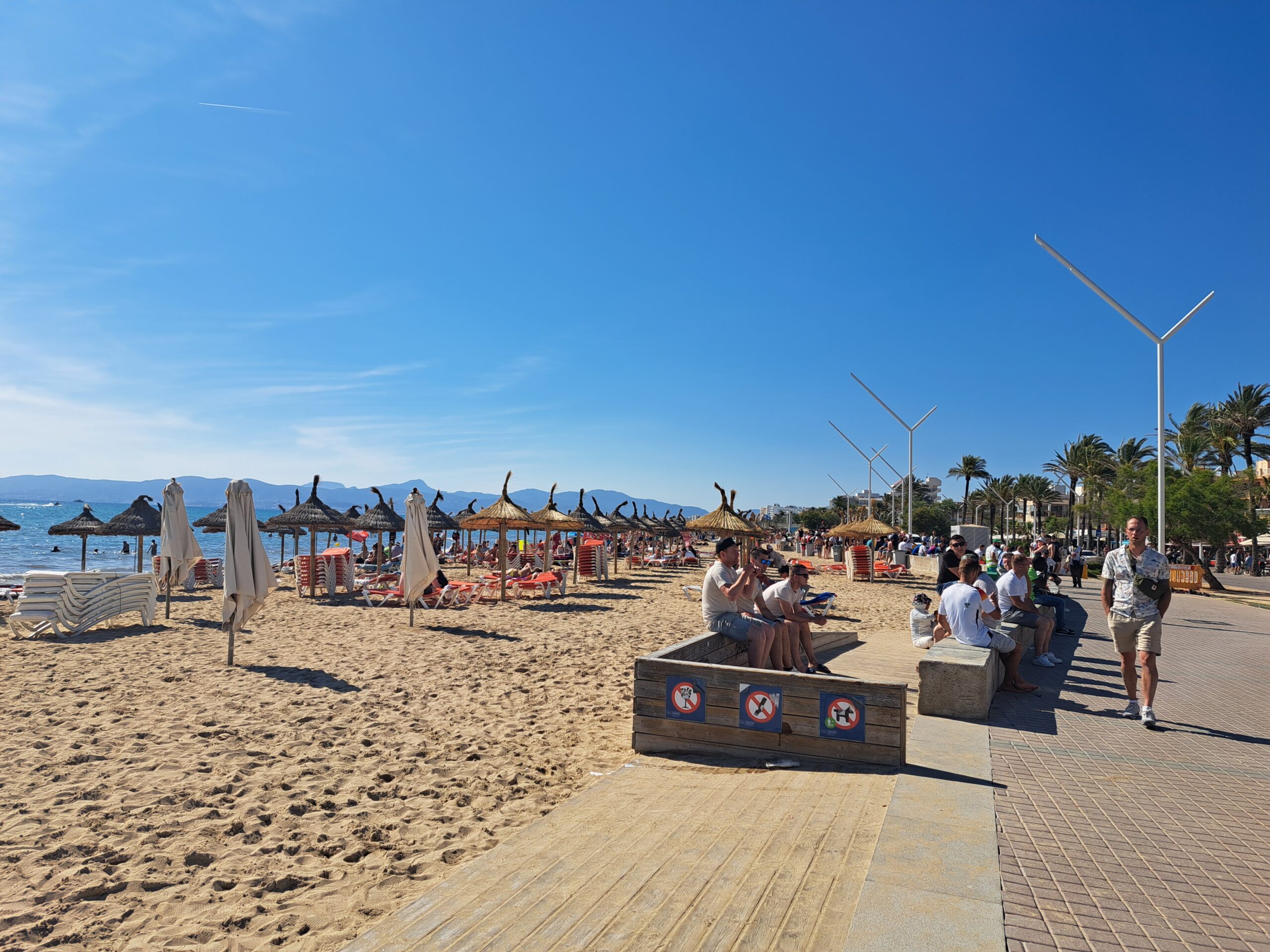 TOP 7: Diese Reise-Apps sind nützlich für Deinen Mallorca-Trip