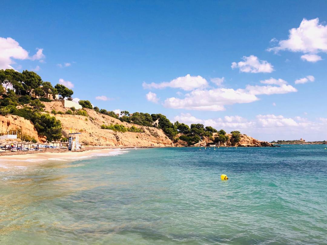 Naturschutz am Meer: 16 Strände auf Mallorca als umweltfreundlich geprüft