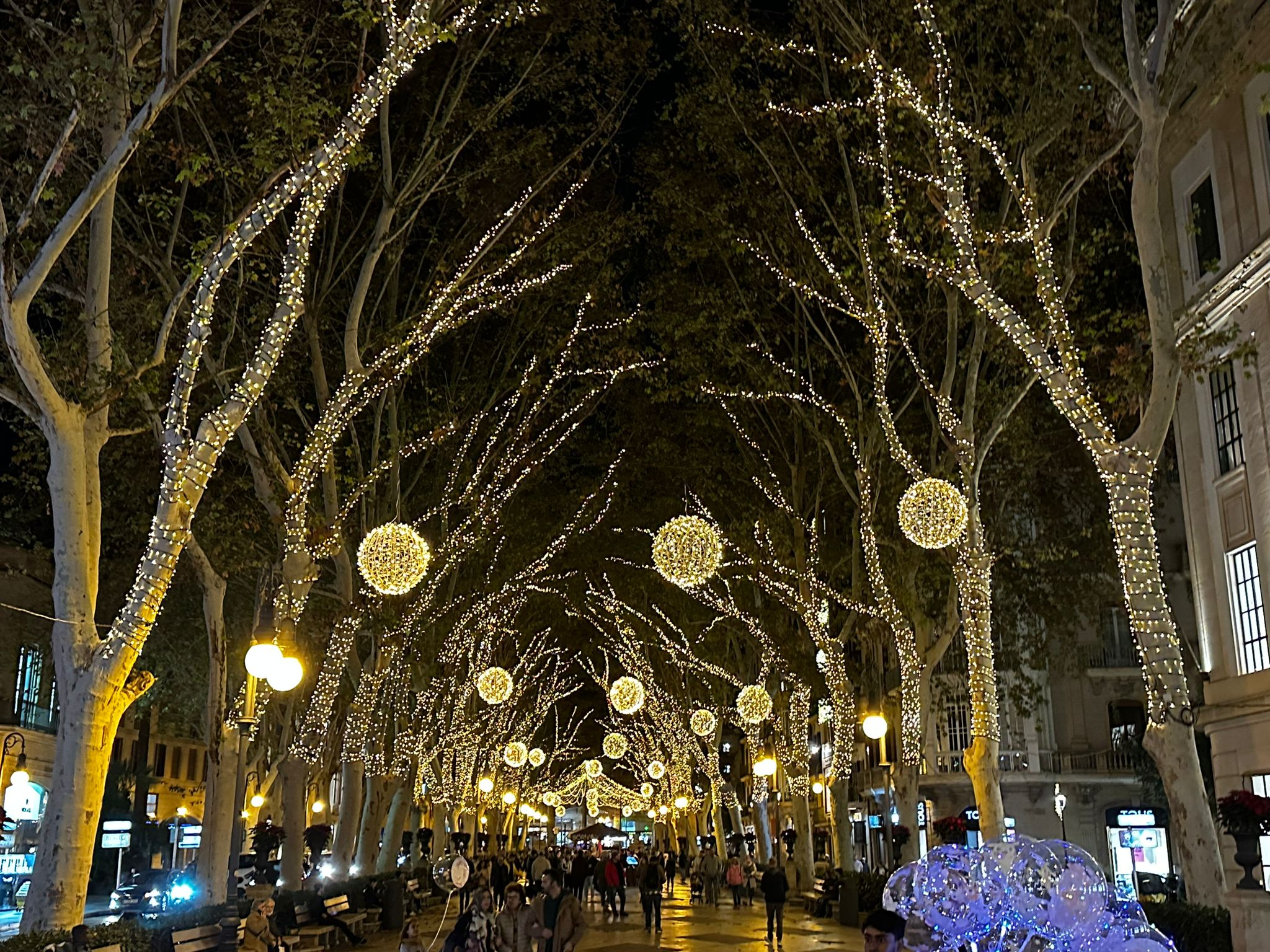 Weihnachtsmärkte in Palma: Mallorca erstrahlt im Lichterglanz