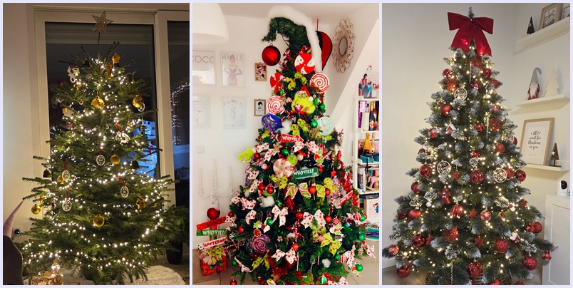 Wählt den schönsten Weihnachtsbaum 2025!