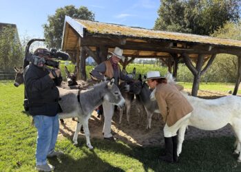 Neue History-Doku: Der NDR auf der Ballermann Ranch